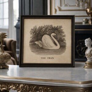 NWT Vintage Swan Print Art Nursery Decor Bird Etching Farmhouse Cottagecore